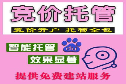 SEM推广案例：品牌知名度提升